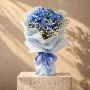 azur 1.webp