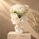 cotton h1.webp