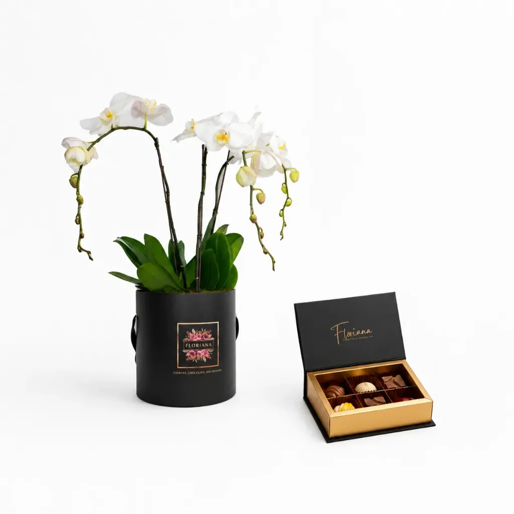 [AAP-ORCH00023-3PHAL+SWEET] Trio Orchid & Choco6 Gift Set