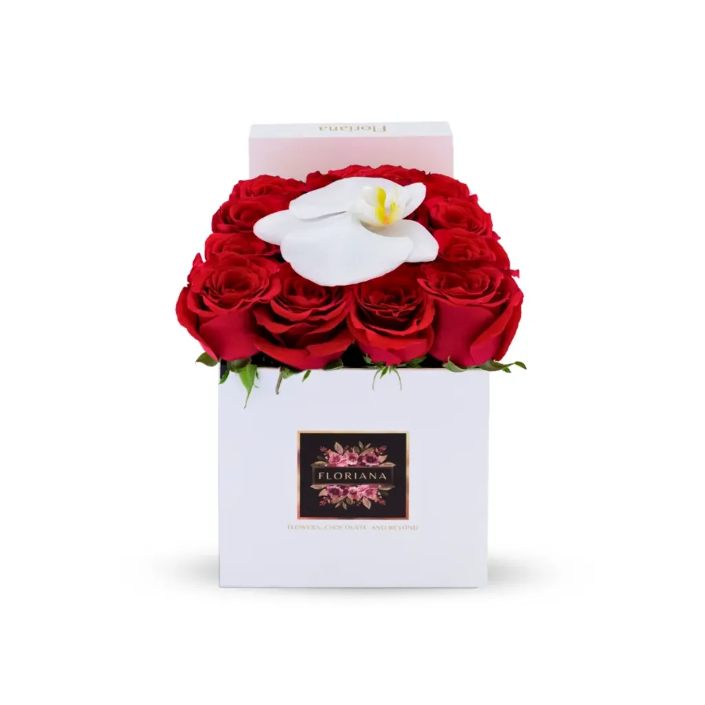Scarlet 16 (White)